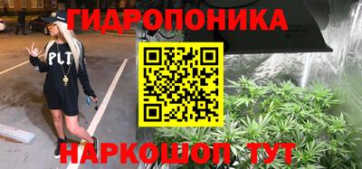 a pvp Сланцы
