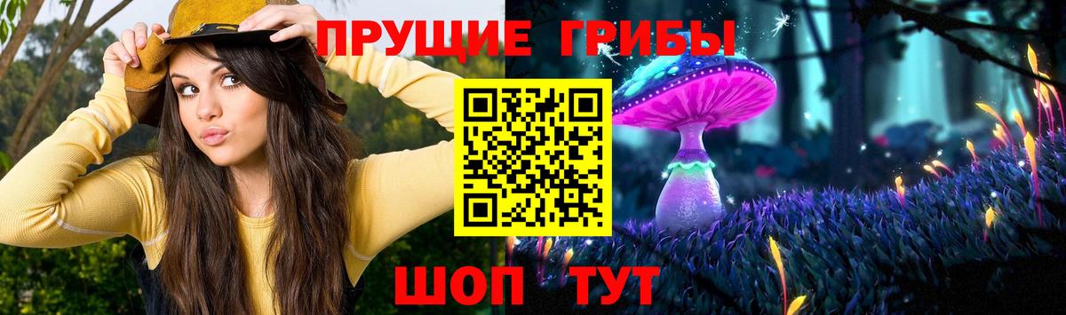 Санкт-Петербург  Псилоцибиновые грибы MAGIC MUSHROOMS  где продают   Вход с VPN 